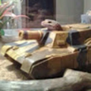 Meet your Posher, Ivory